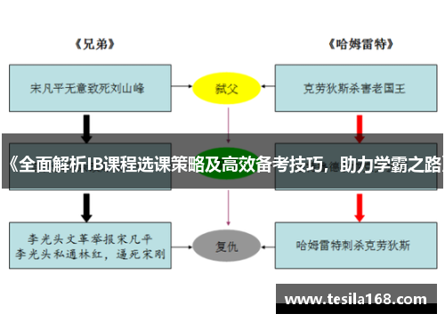 《全面解析IB课程选课策略及高效备考技巧，助力学霸之路》