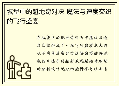 城堡中的魁地奇对决 魔法与速度交织的飞行盛宴